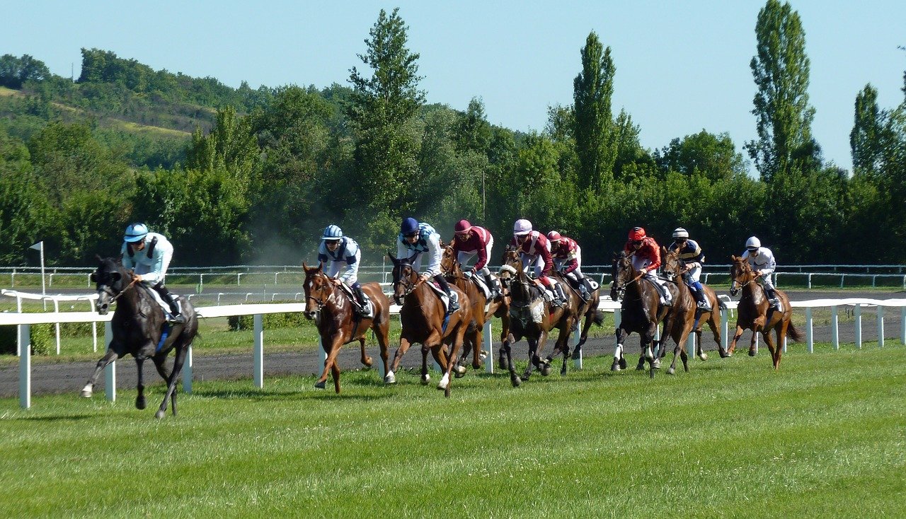 How To Place Bets Online